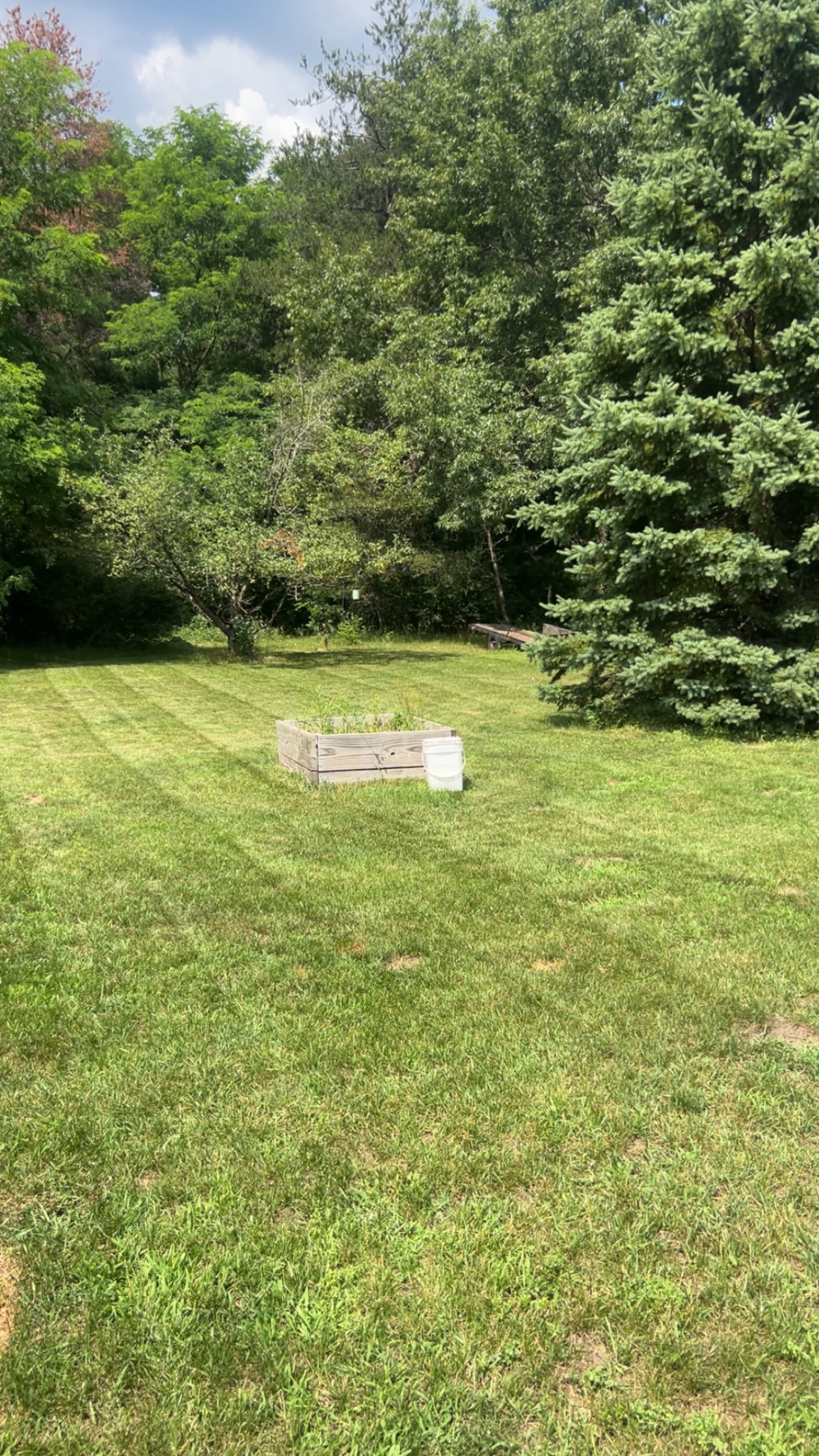 Weekly mow, striped finish
