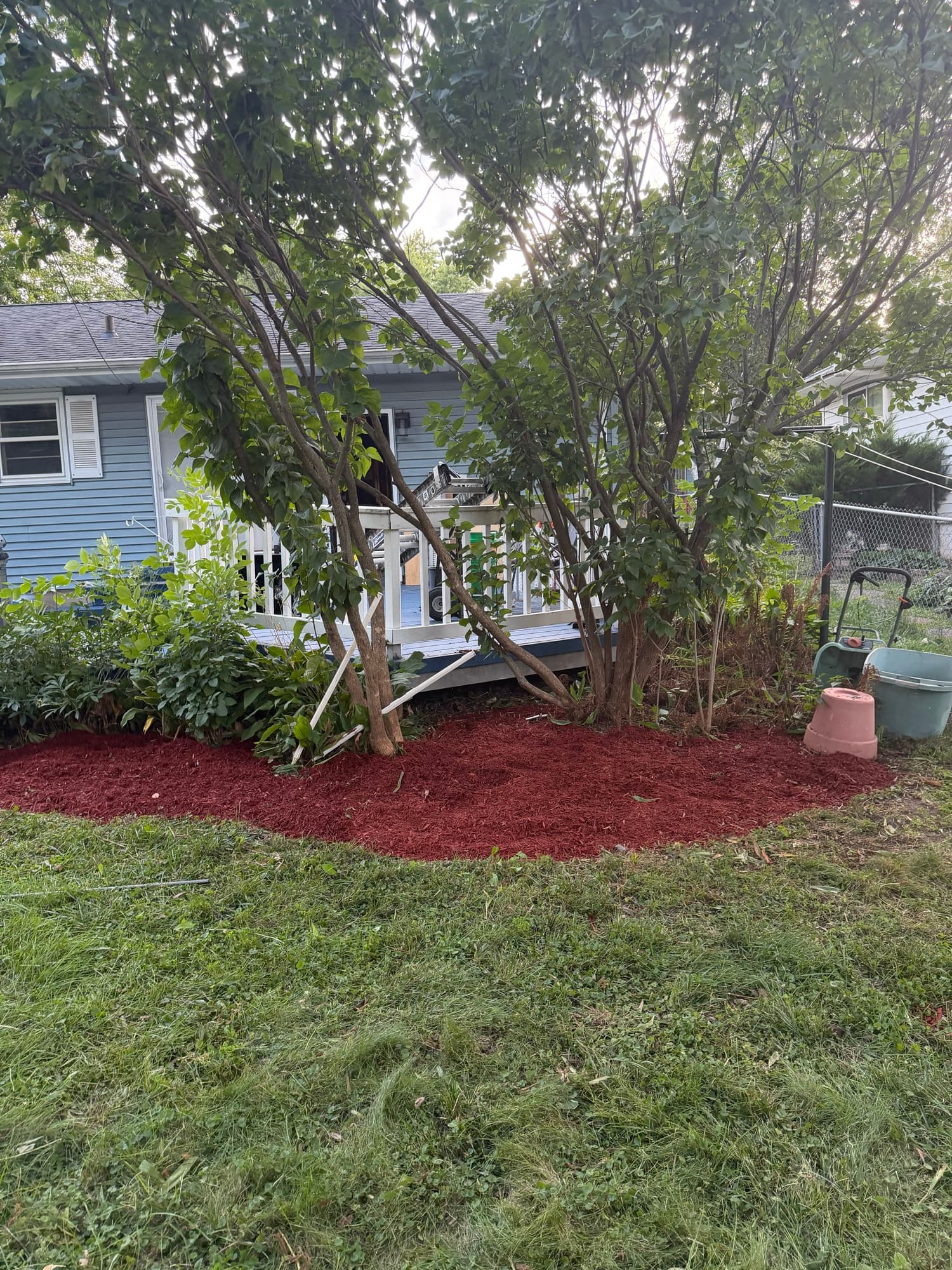 Mulch bed under the shade trees
