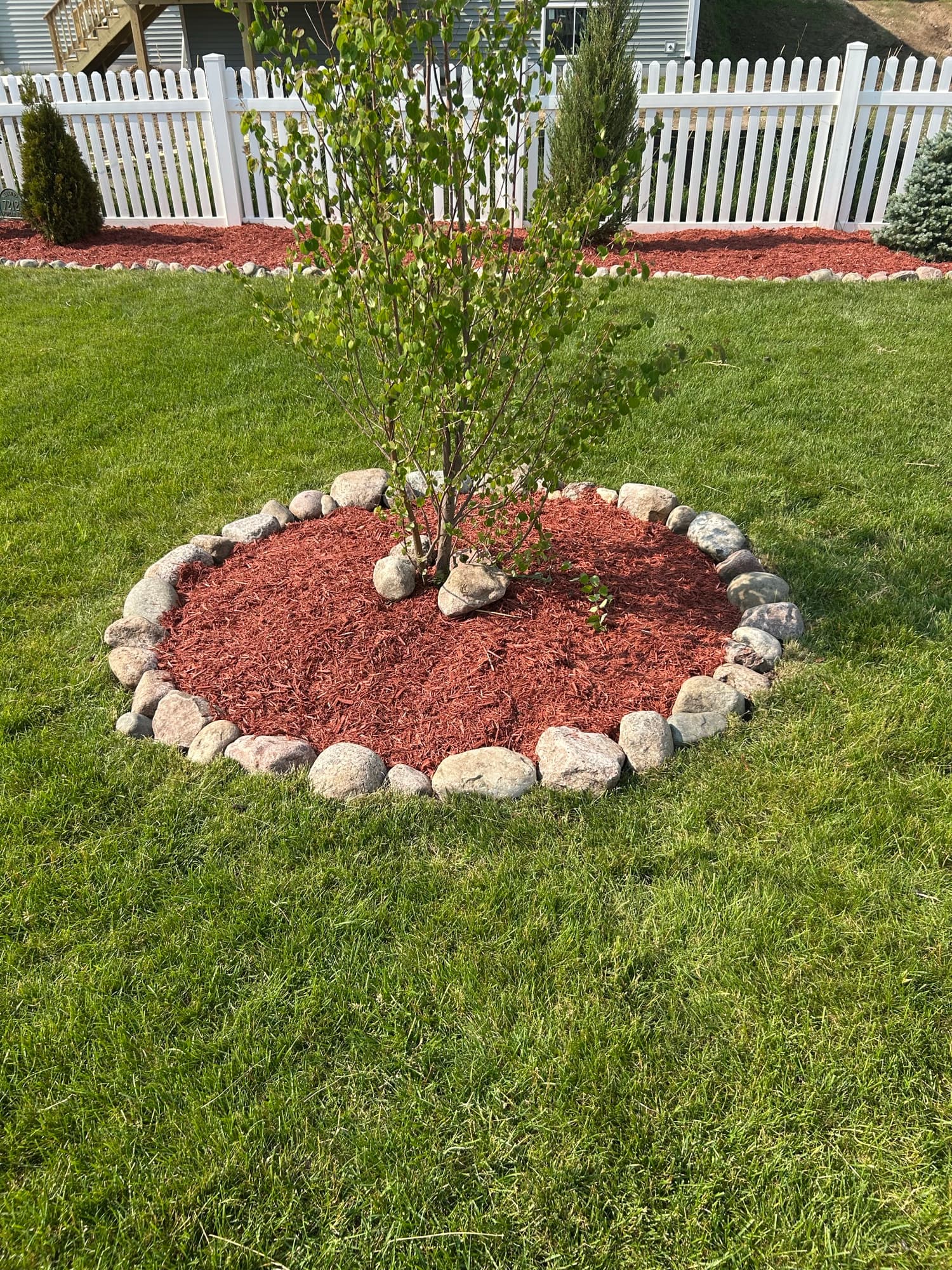 Rock-ring tree bed