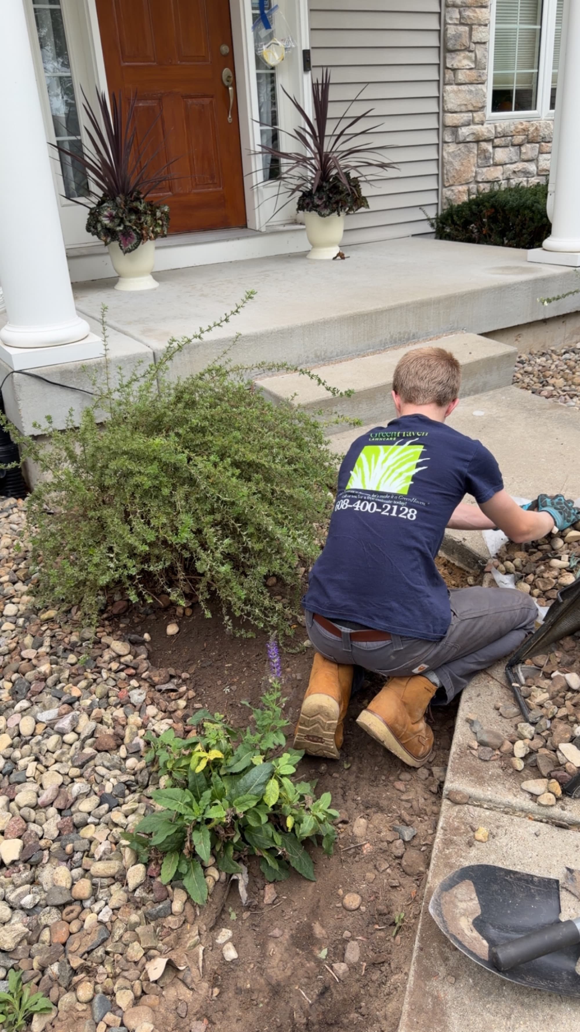 Weeding & planting a front entry bed