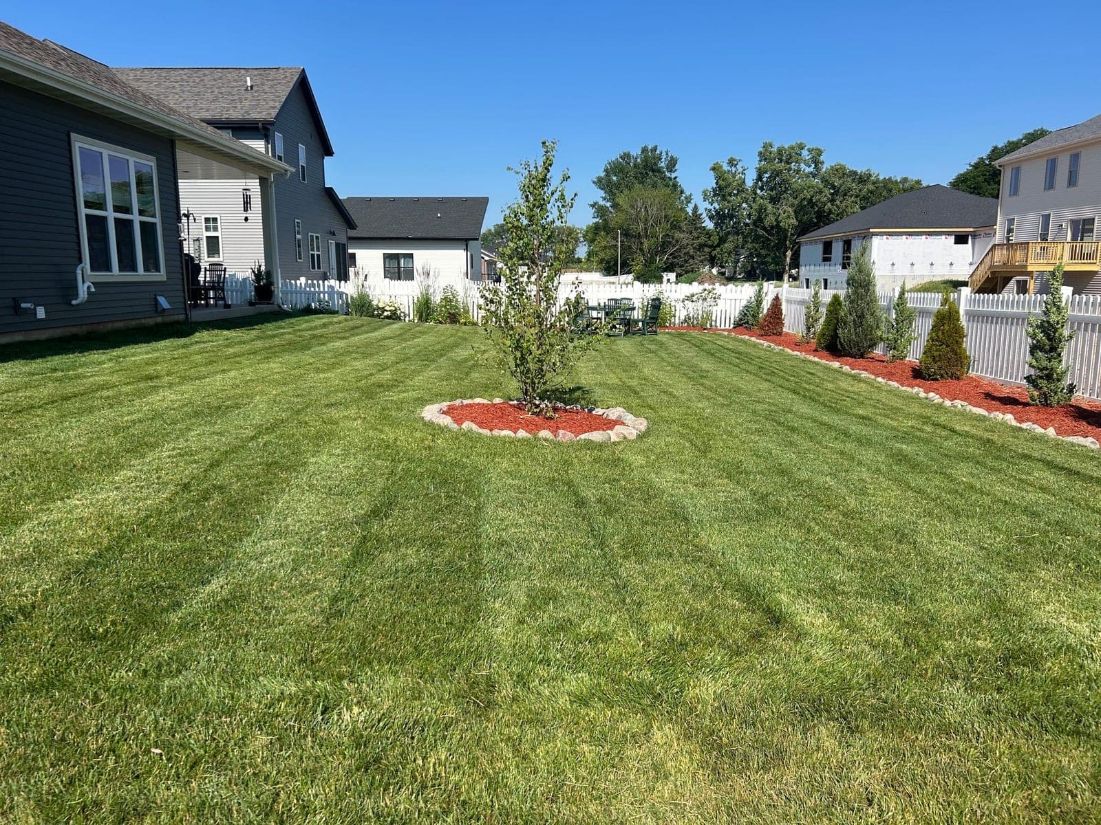 Freshly striped lawn with a mulched tree ring